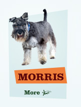 Morris - Misfits