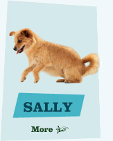 SALLY - Misfits